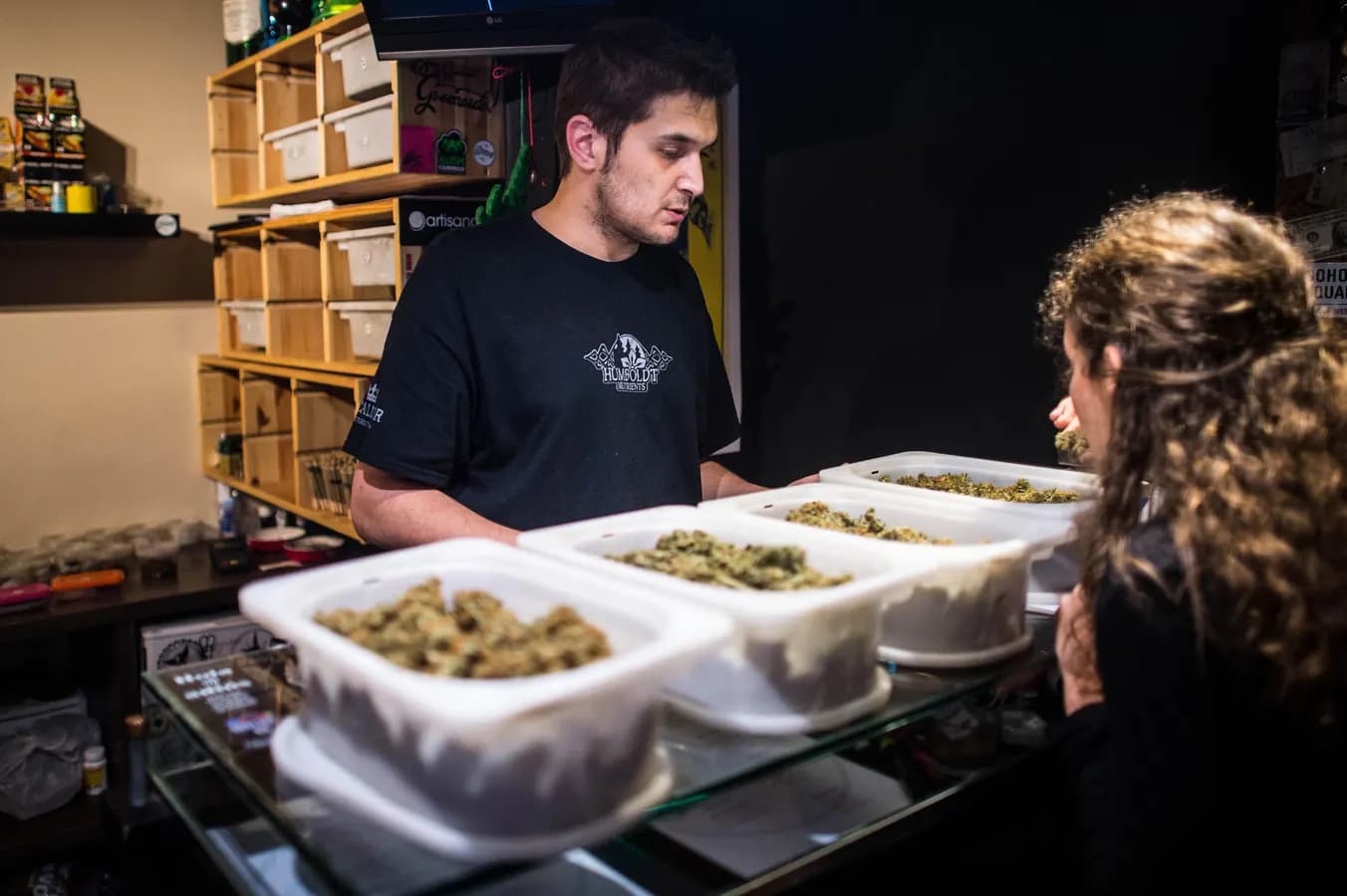 Cannabis Club Barcelona: Top-Adressen für Touristen