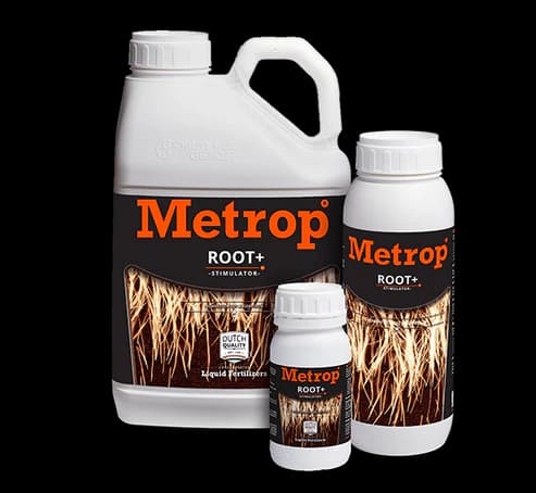 Hanf Blüten Kräftig und Gesund: Warum der Metrop AminoXtrem Bio-Pflanzen- und Blüten Booster Unverzichtbar ist