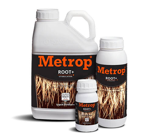 Hanf Blüten Kräftig und Gesund: Warum der Metrop AminoXtrem Bio-Pflanzen- und Blüten Booster Unverzichtbar ist