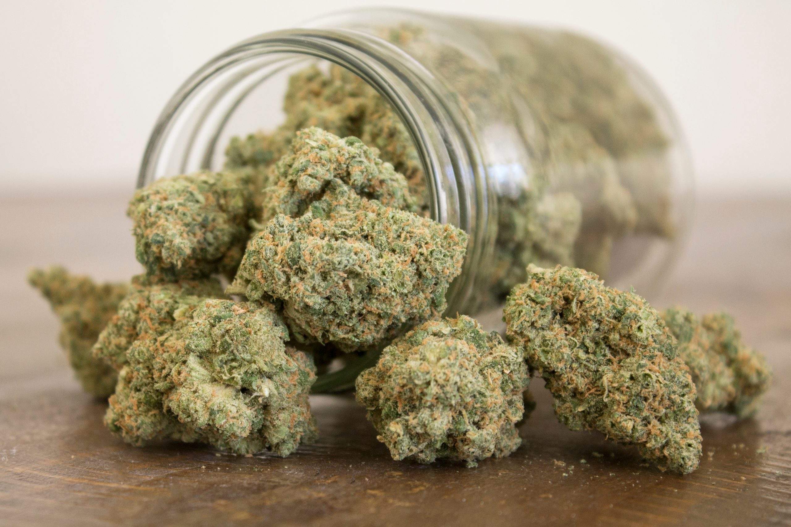 Ertragreiche Strains für jeden Grow – Hanfsamen bestellen leicht gemacht