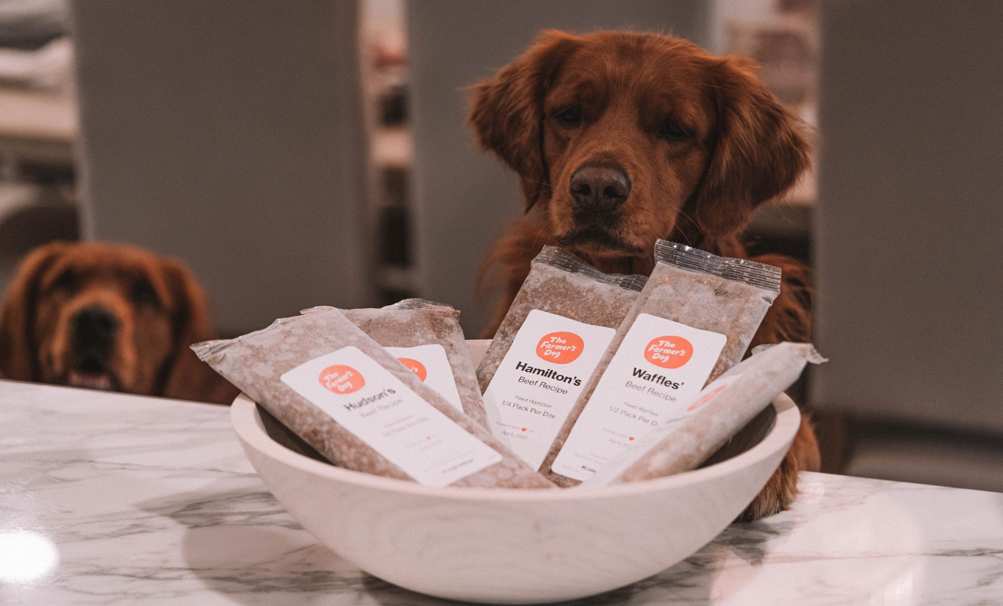 Why The Farmers Dog Price Varies and How to Save Money