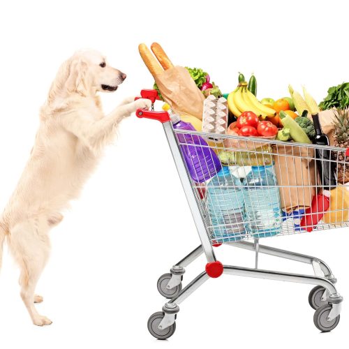 the farmers dog price