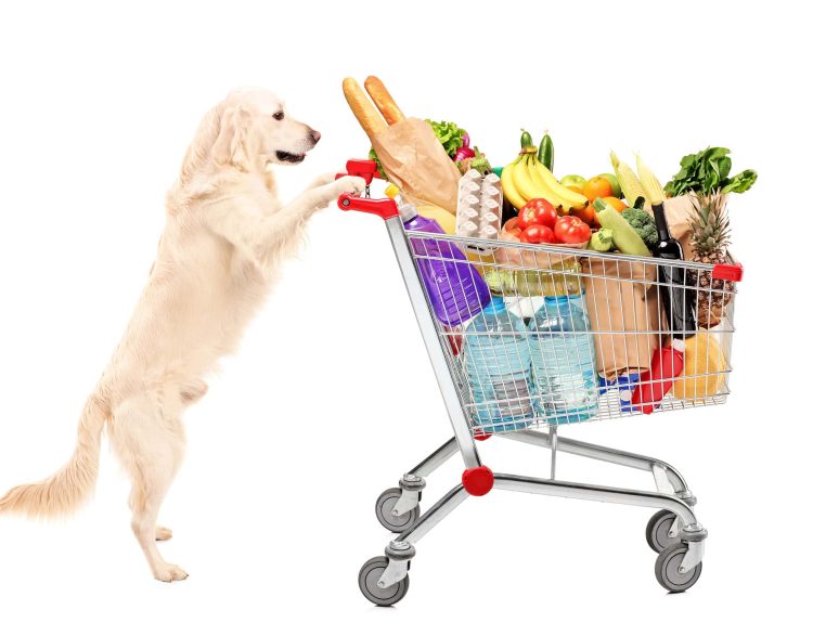 the farmers dog price